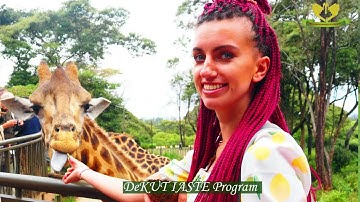 From Poland to Kenya: Join Sylwia Magdziarz, working in the Chemistry Department