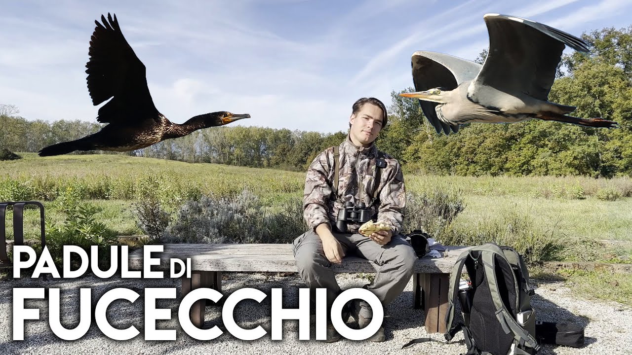 TRA FALCHI E CACCIATORI - PADULE DI FUCECCHIO