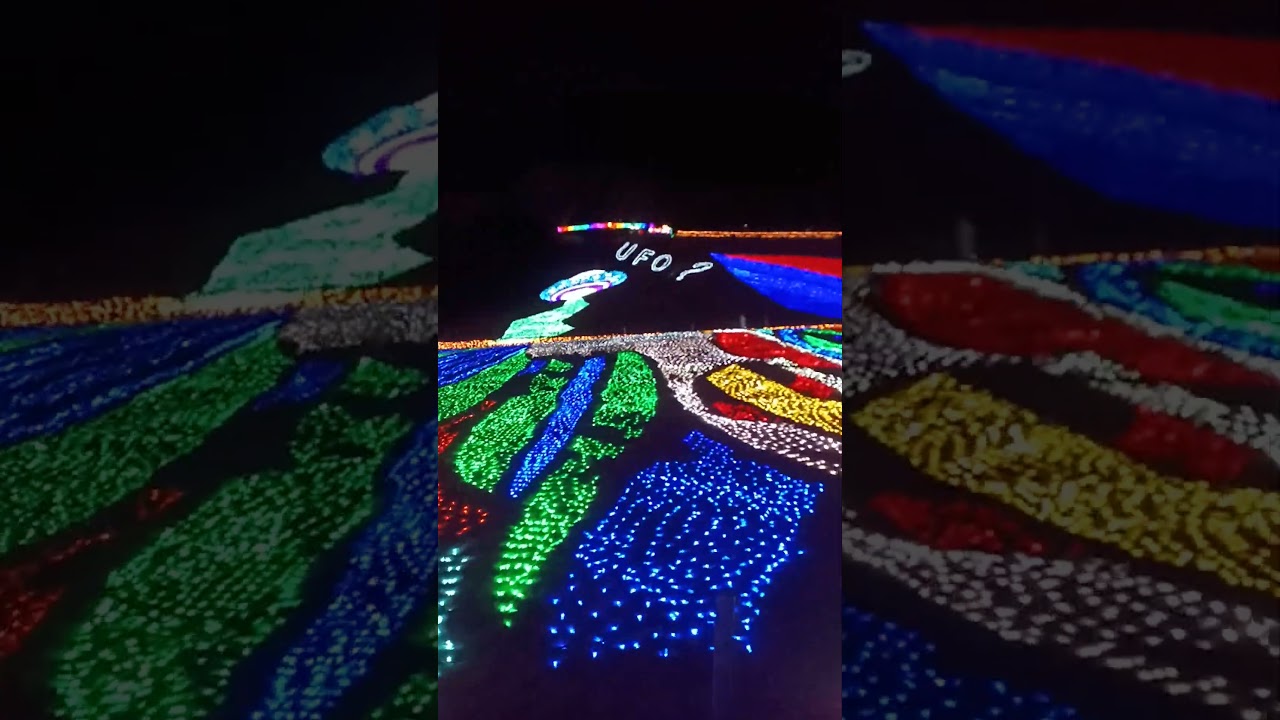 東京ドイツ村 #イルミネーション