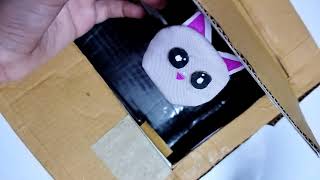 How To Make Cat Stealing Coin Bank