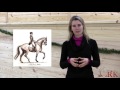Horse Terms Explained