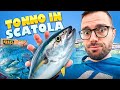 Il pesce in scatola che ha CONQUISTATO il mondo (ed è ovunque)