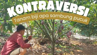 🔥 PILIH TANAM BIJI APA SAMBUNG PUCUK? BIAR BISA BIKIN KAYA!🌱💰@petanijadi-jadian