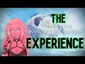 The Destiny 2 Witch Queen Experience