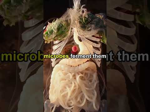 NutriBites
