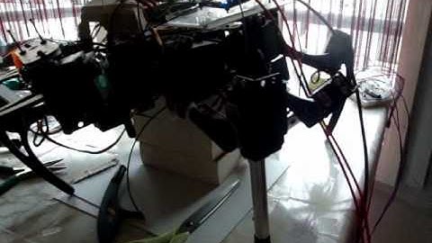 Hexapod adaptative leg