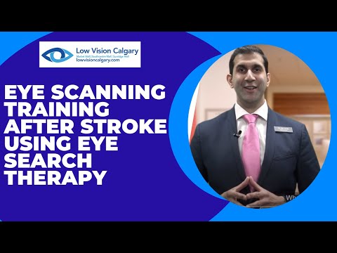Eye Scanning Training After Stroke Using Eye Search Therapy