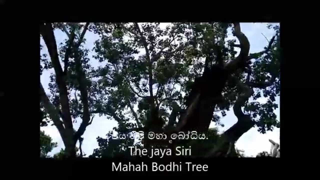 Return to Hiriwadunna 2015