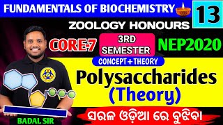 Polysaccharide|Structure and Biological importance of Polysaccharide|Zoology honours core-7|3rd sem