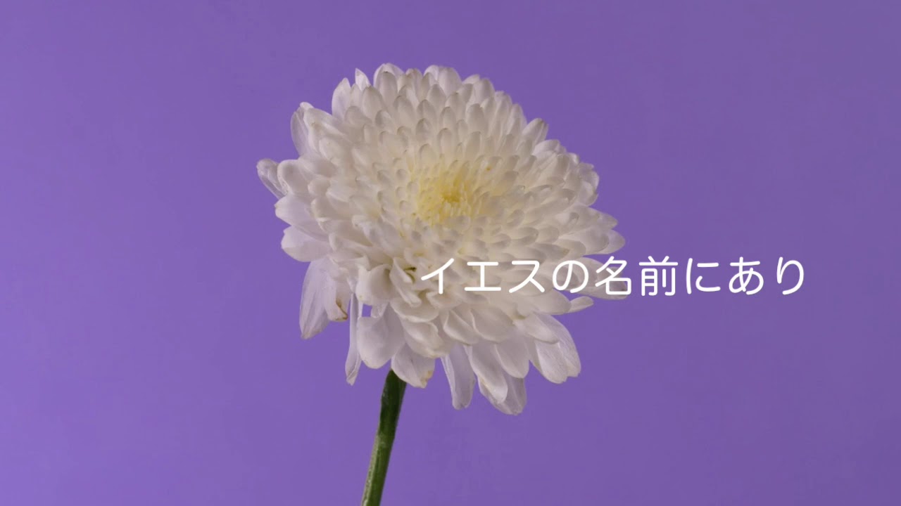 イエス我がすべて カバー（ルア・ワーシップ） 