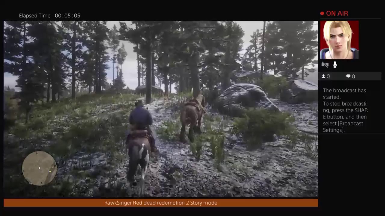 RawkSinger's Live Red dead redemption 2 Story mode