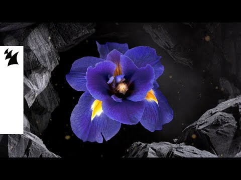 Janieck & Horizon Blue - Iris (Official Visualizer)