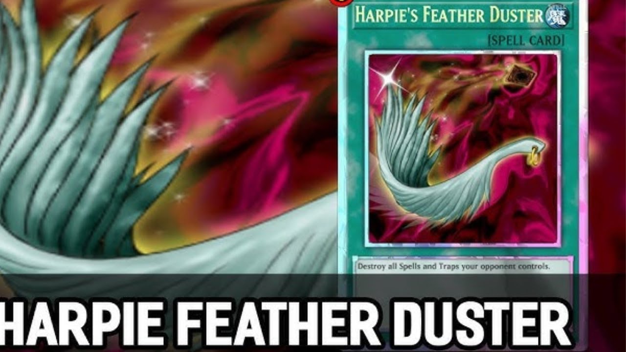 Harpies Feather Duster