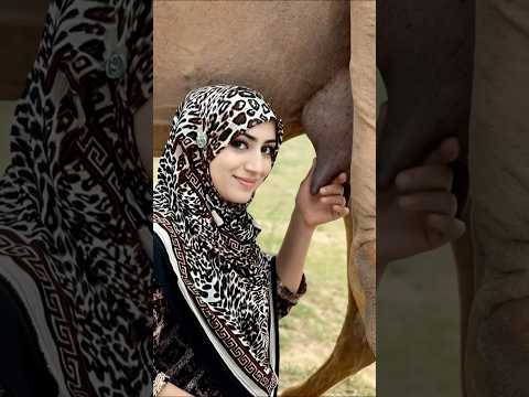 لحظة ريفية نادرة امرأة تجهز الناقة للحلب بكل هدوء جمال العيشة البدوية كما لم تره من قبل