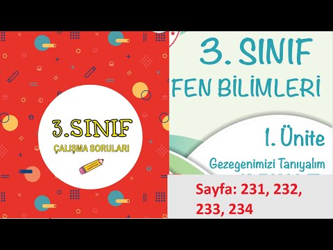 3  Sınıf Fen Bilimleri çalışma kitabı soruları sayfa 231 232 233 234 cevapları