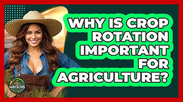 Why Is Crop Rotation Important For Agriculture? - The World of Agriculture