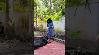 Dog Training #dogs #pet #dog #petlover #dogshorts