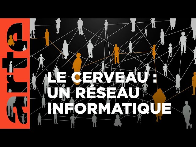 La théorie des graphes ou comment ne pas prendre la grosse tête | Voyages au pays des maths | ARTE