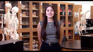 From MCC to NIU: Cindy’s Transfer Student Success Story