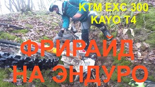 #Эндуро лайф.#Фрирайд на эндуро. KAYO T4, KTM EXС 300