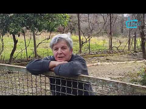 \"გააზიარე შენი სოფლის რეალური ამბები\" -   სოფლის მეურნეობის პრობლემები