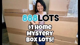 Unboxing 888Lots Home Mystery Box! Only $1 per Item!