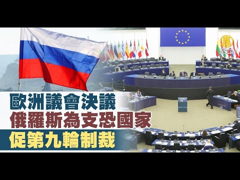 欧洲议会决议俄罗斯为支恐国家 促第九轮制裁