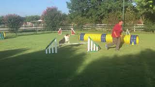 Dhena U158003 Ad Snooker 2 Event 109213 July 18 2020