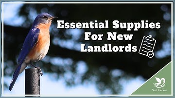 Getting Started with Bluebirds   Landlord Essentials List Plus Cost Estimation
