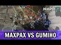 GuMiho vs MaxPax - THE OLD VS THE NEW! (TvP)