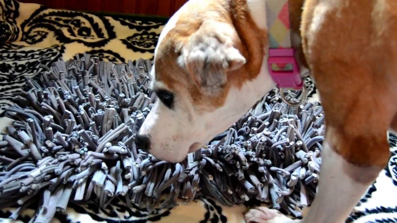 PAW5 Wooly Snuffle Mat for Dogs - YouTube