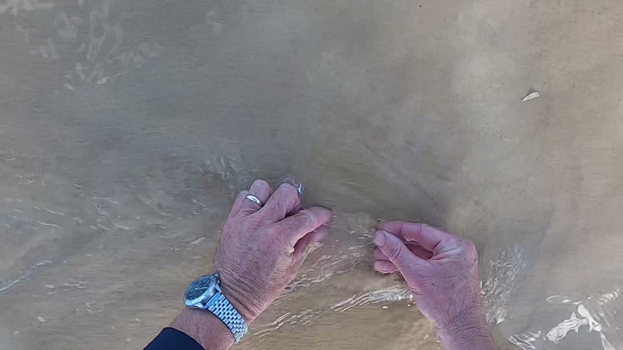 MONSTER BEACH  WORM  TACTICS