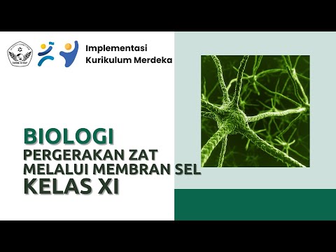 Video: Semasa simplastik pergerakan air antara sel melalui?