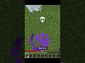 Minecraft Bugrock to Space