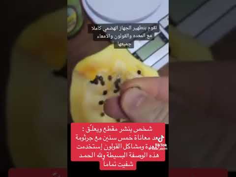البابايا للمعده