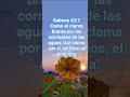Mi alma tiene sed de Dios
