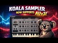 SUPER! KOALA SAMPLER SUPPORTS AUv3!