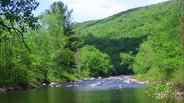 Improvisation #96 for Poly Evolver and Prophet 