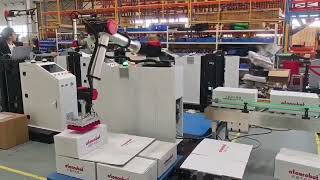 Upgrade Your Factory: Plug & Play Cobot Palletizer