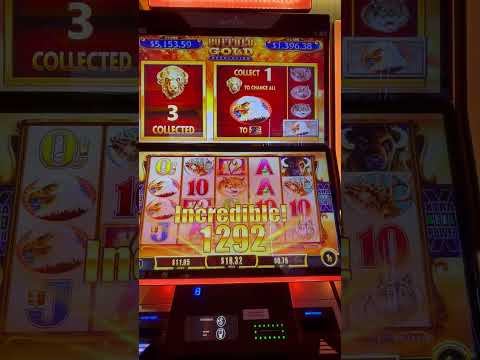 plus grand Nine Casino bonus cashback en France