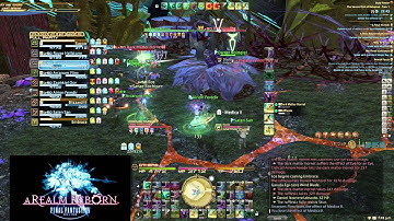 Final Fantasy XIV - Turn 6 SCH Perspective