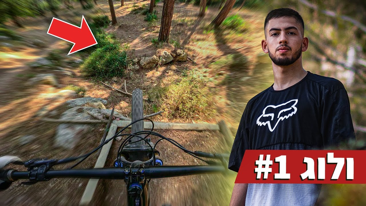 ולוג ראשון מיער משגב  | Ori Gall