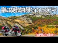 【東北バイク旅】この絶景に心が震えた…。福島にある磐梯吾妻スカイラインを走り浄土平へ！かつてない色づく木々の美しさに感動しました。【HONDA Gold Wing/モトブログ】