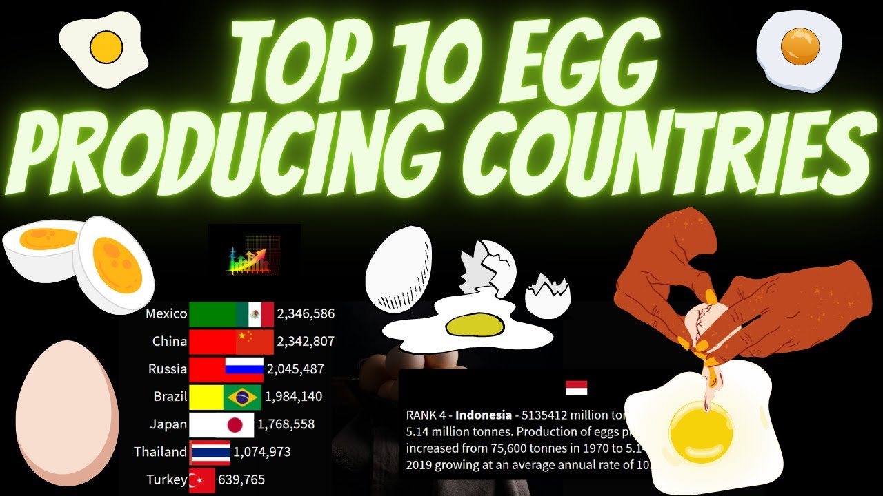 Top 10 egg producing countries YouTube