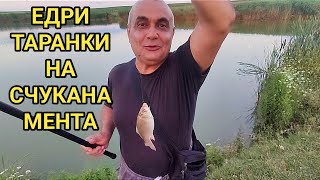 Майсторски риболов по залез слънце! Счуканата прясна мента си каза думата и рибата не ѝ устоя!