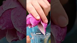 ?? Съедобная магнолия?! Цветок, который меняет разум!