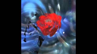 Teengirl Fantasy - End