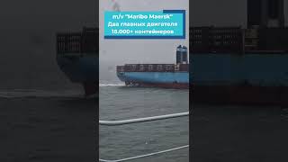 Два двигателя, два винта, два руля Maribo #Maersk #maxmaster #судно #ship #контейнеровоз #флот