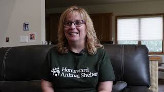 Paws and patience: A foster couple’s quest to find forever homes for cats with special needs