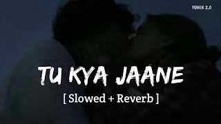 Tu Kya Jaane (Slowed   Reverb) | Yashika Sikka, A.R. Rahman | YUNIK 2.0